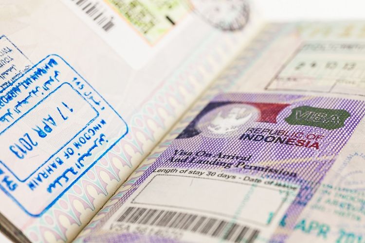 Visa Processing